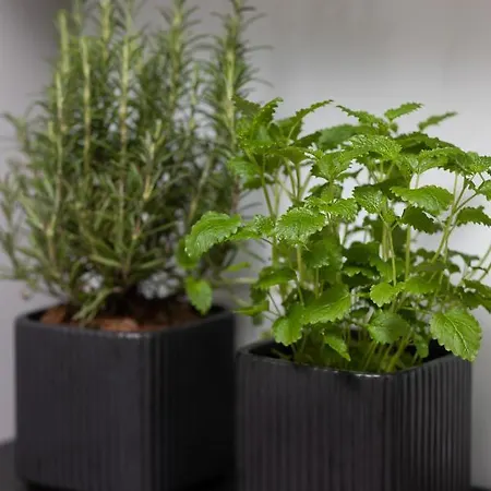 Center Swietokrzyska & Emilii Plater By Renters Apartment *