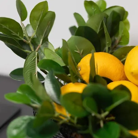 Center Swietokrzyska & Emilii Plater By Renters דירה *