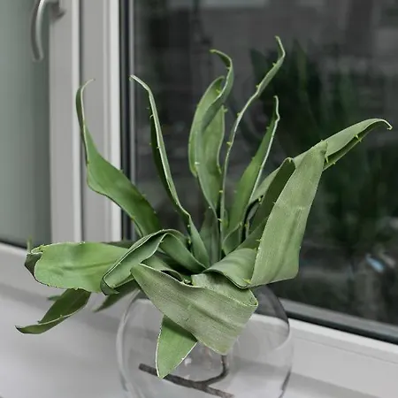 Apartment Center Swietokrzyska & Emilii Plater By Renters *