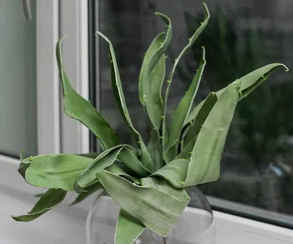 Apartment Center Swietokrzyska & Emilii Plater By Renters *